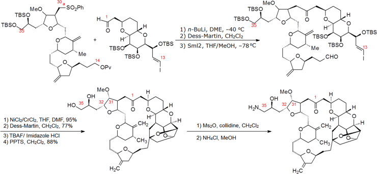 Scheme 1