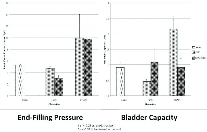 Fig. 3b.