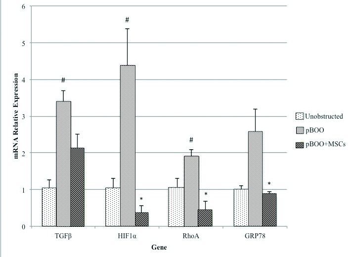 Fig. 3a.