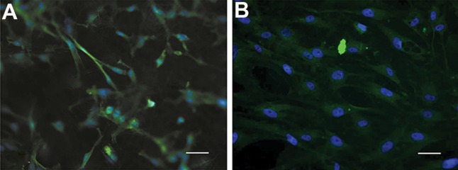 Fig.6