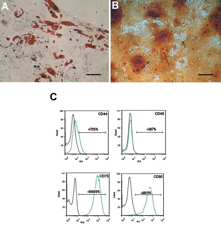 Fig.2