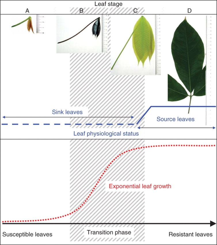 Fig. 4.