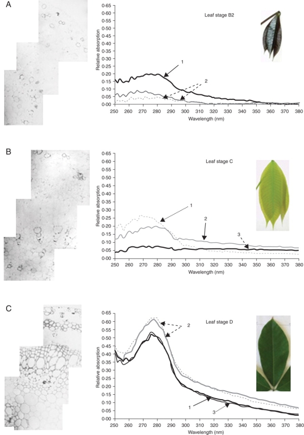 Fig. 5.