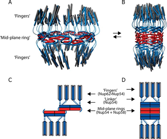 FIGURE 10.