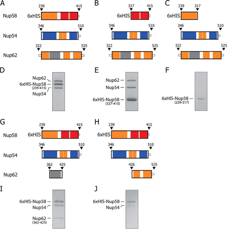 FIGURE 9.