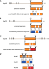 FIGURE 1.