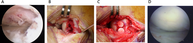 Fig. 6