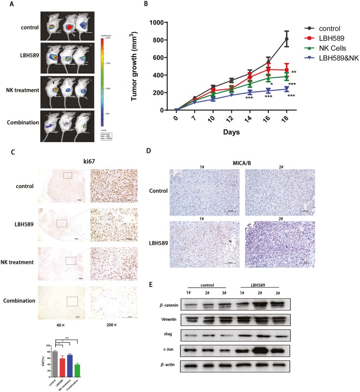 Figure 6: