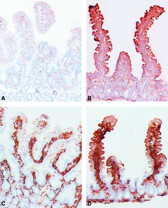 FIG. 3.