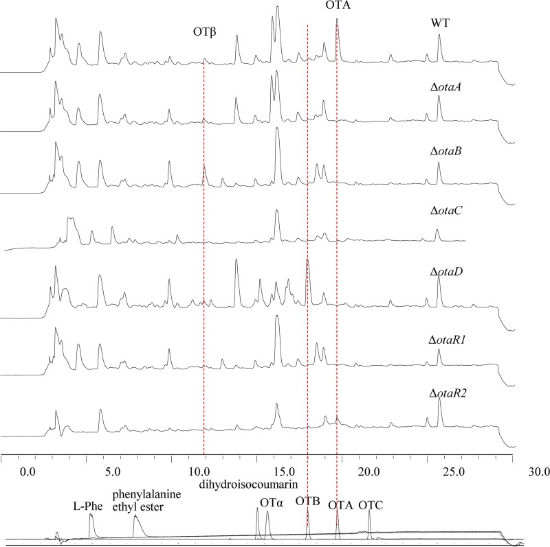 FIG 3