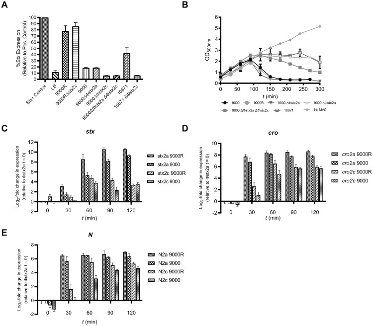 Fig 2