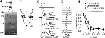 Fig. 9.