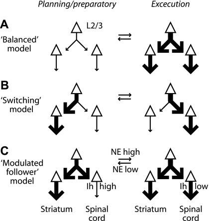 Fig. 12.