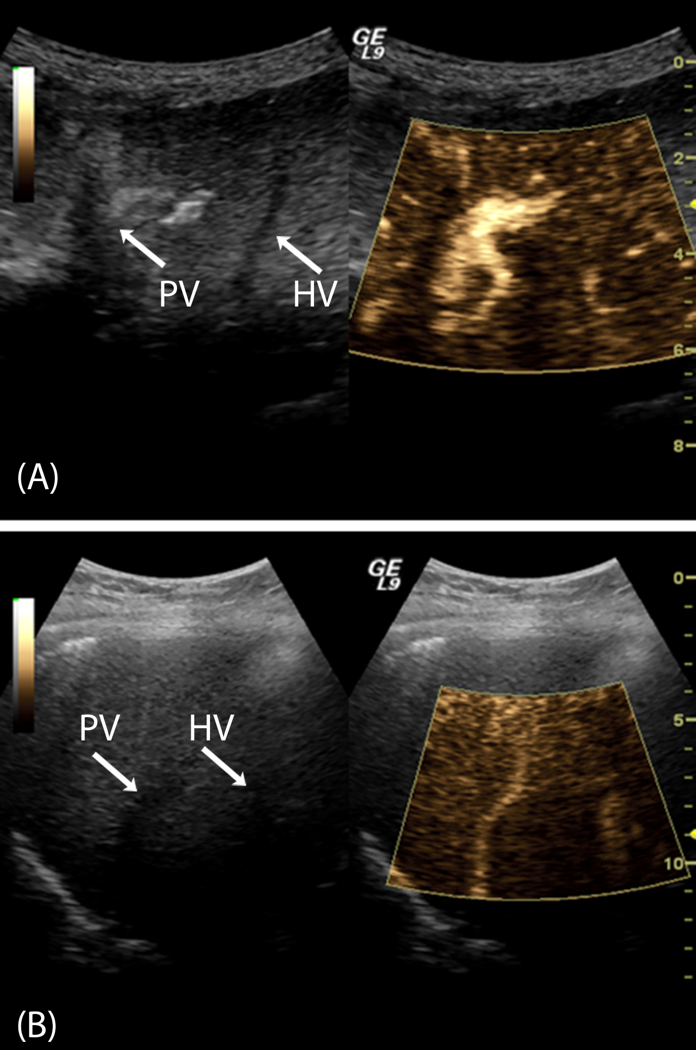 Figure 3: