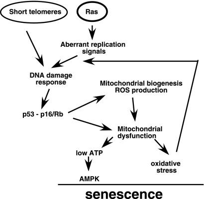 FIG. 9.