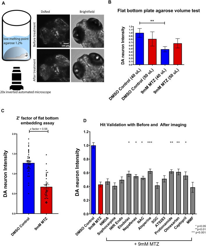 FIGURE 3