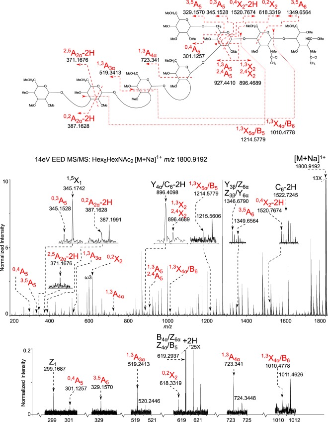 Fig. 3.