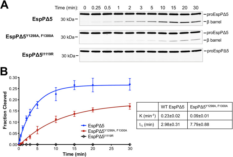 FIG 6