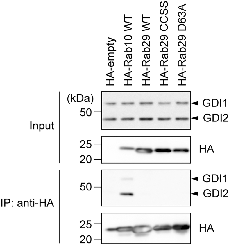 Figure 4