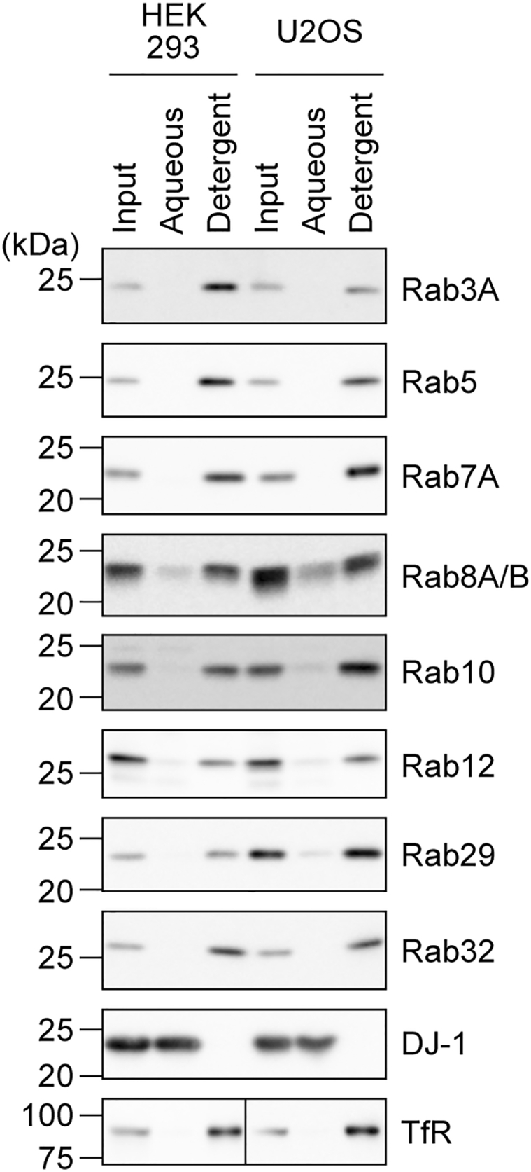 Figure 5