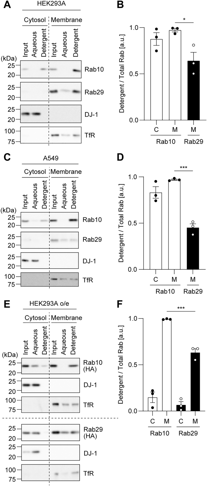 Figure 6