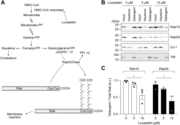 Figure 7