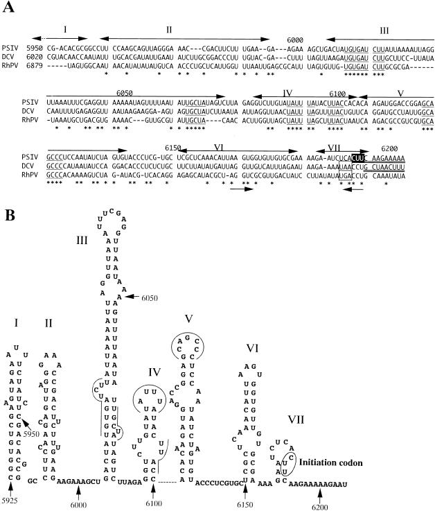 FIG. 7