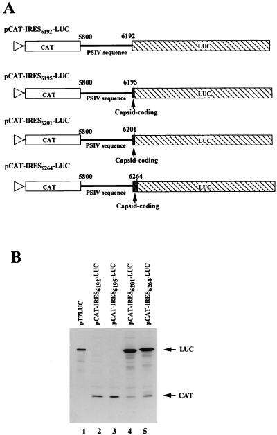 FIG. 5