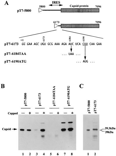 FIG. 6