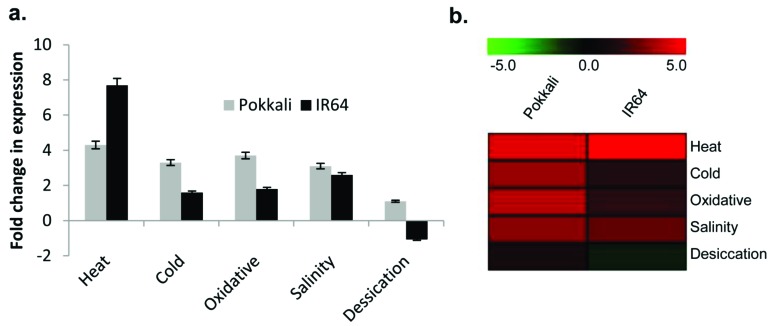 Fig. (2)