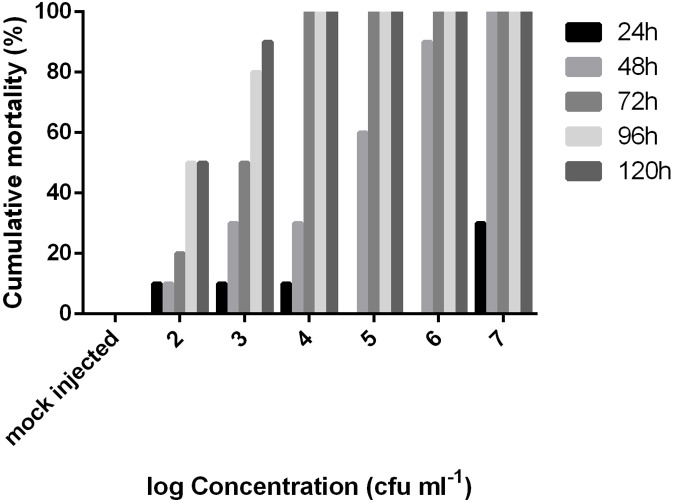 FIGURE 4