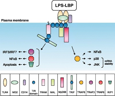 Fig. 2