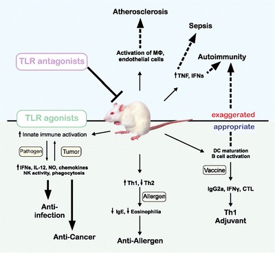 Fig. 3