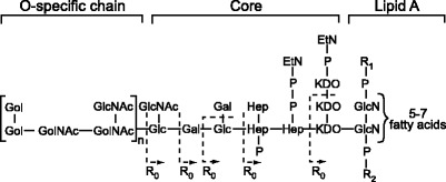 Fig. 1