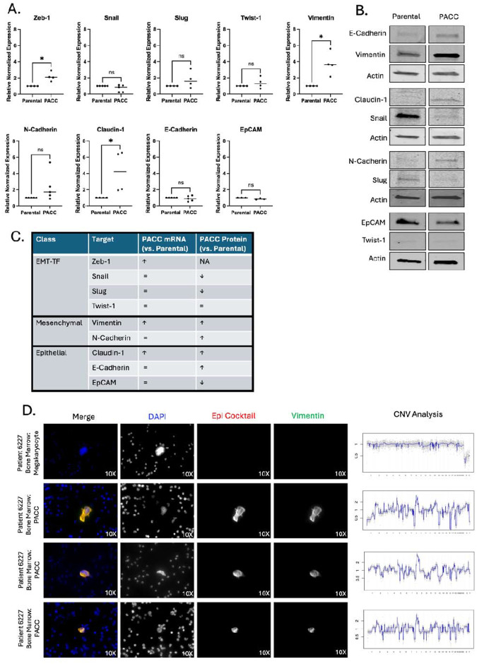 Figure 6: