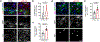 Extended Data Fig. 4 |