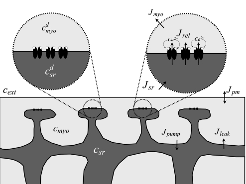 Fig. 1.