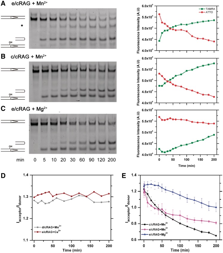 Figure 2.