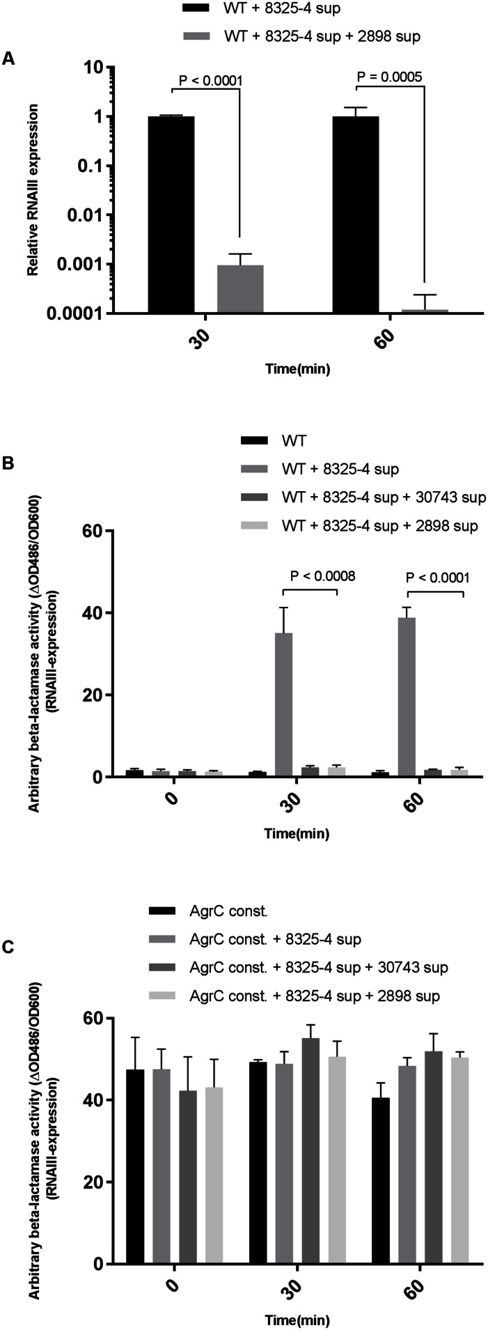 FIGURE 2