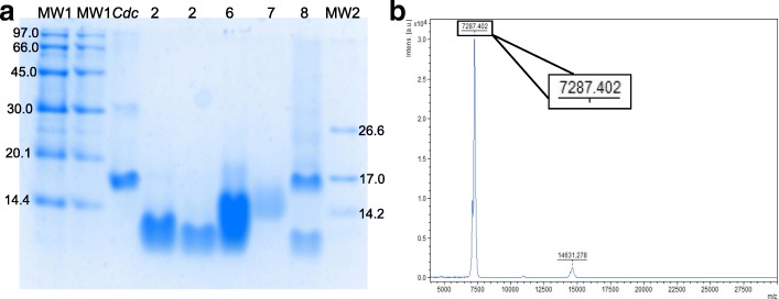 Fig. 2