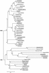 FIG. 2.