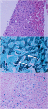 Figure 1