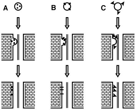 Figure 11.