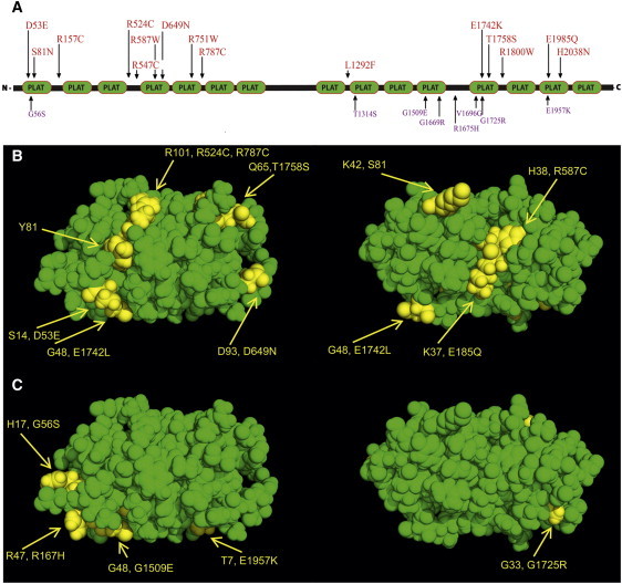 Figure 4