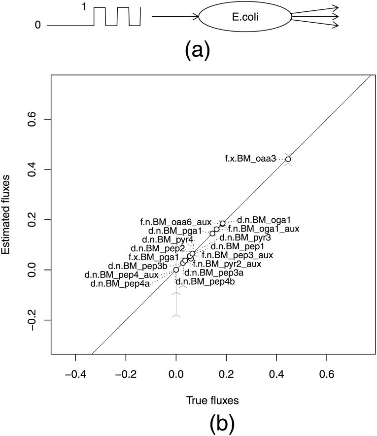 Fig 5