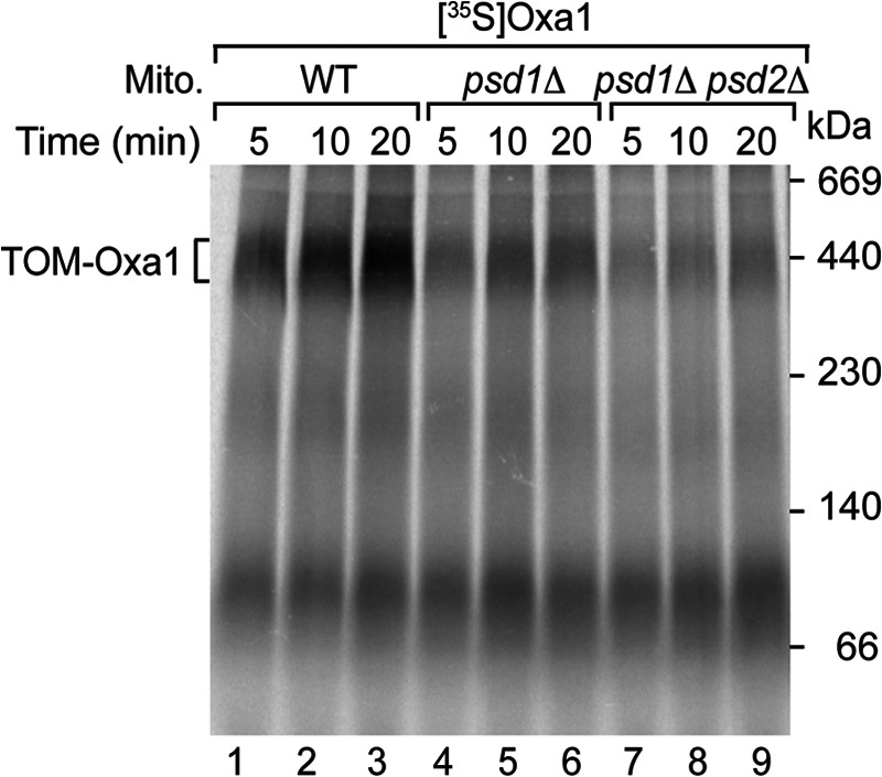 FIGURE 5.