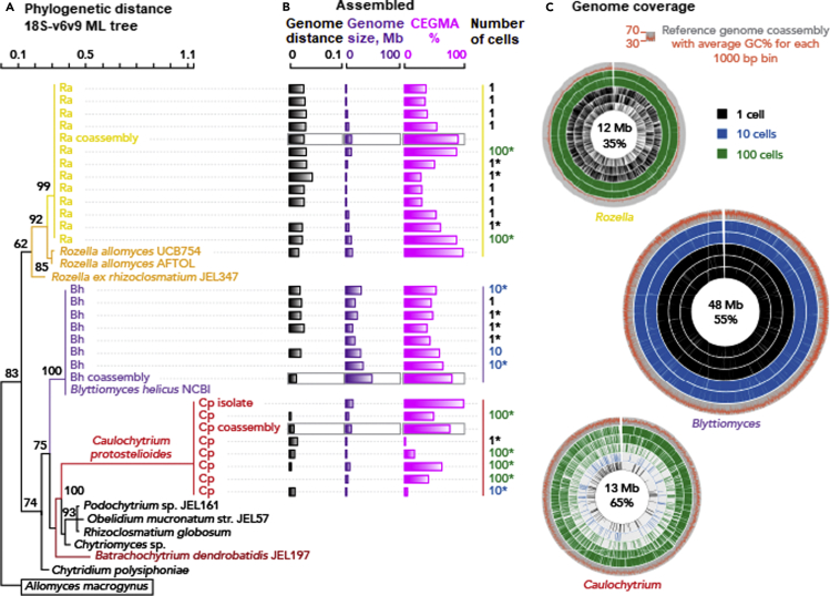 Figure 4