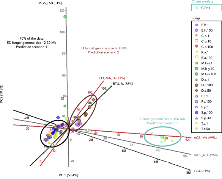 Figure 3