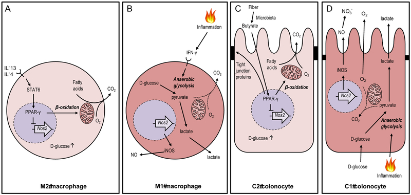 Figure 2: