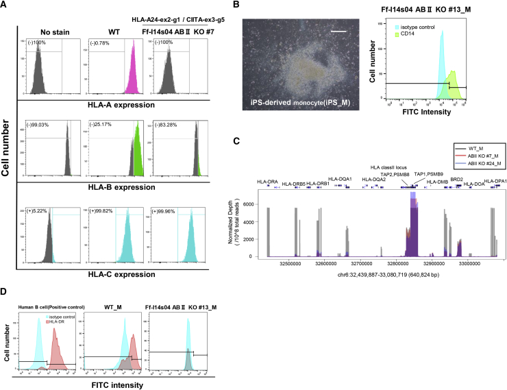 Figure 4